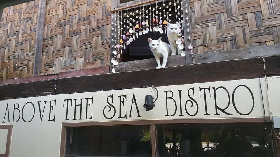 Above The Sea Maesariang Hotel Mae Sariang Exterior foto